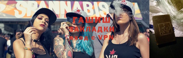 PSILOCYBIN Гусь-Хрустальный