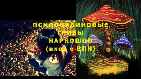 кристаллы Гусев