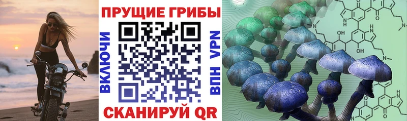 Псилоцибиновые грибы GOLDEN TEACHER kraken ТОР Салехард
